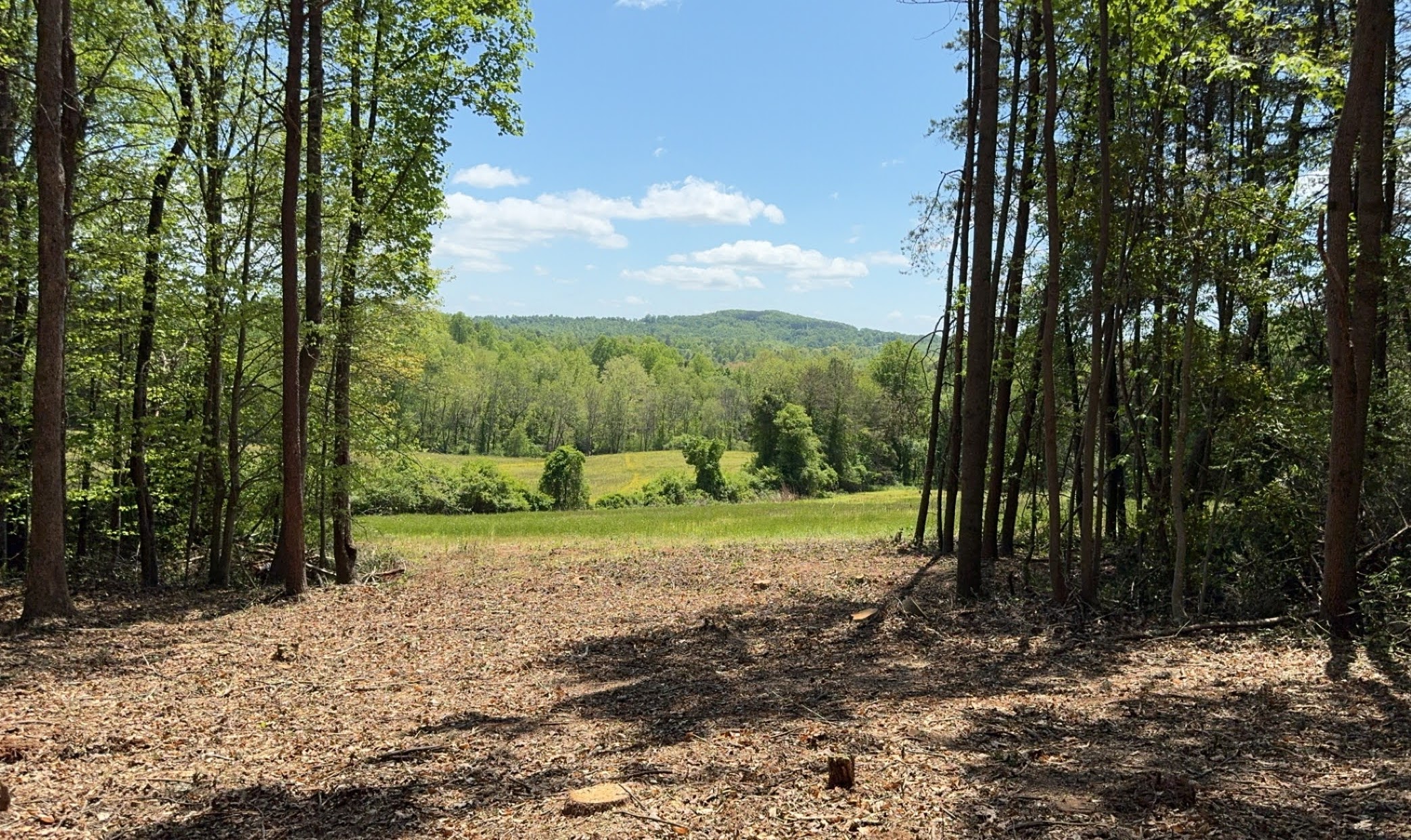 10.25 acres Wilkes County Compass Land and Real Estate